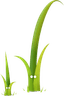 Twig